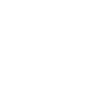 Fassi